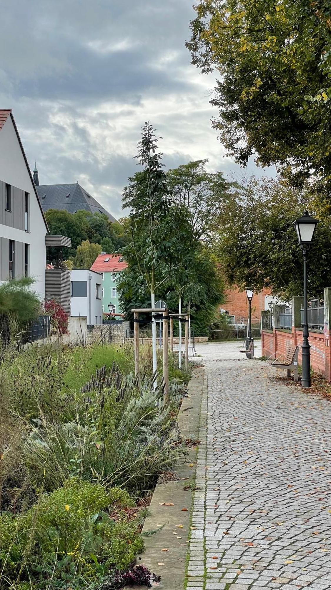 Appartement Neu! Oasis - Am Harz, Hochwertig Kernsaniert, 83 Qm, Eg Nordhausen