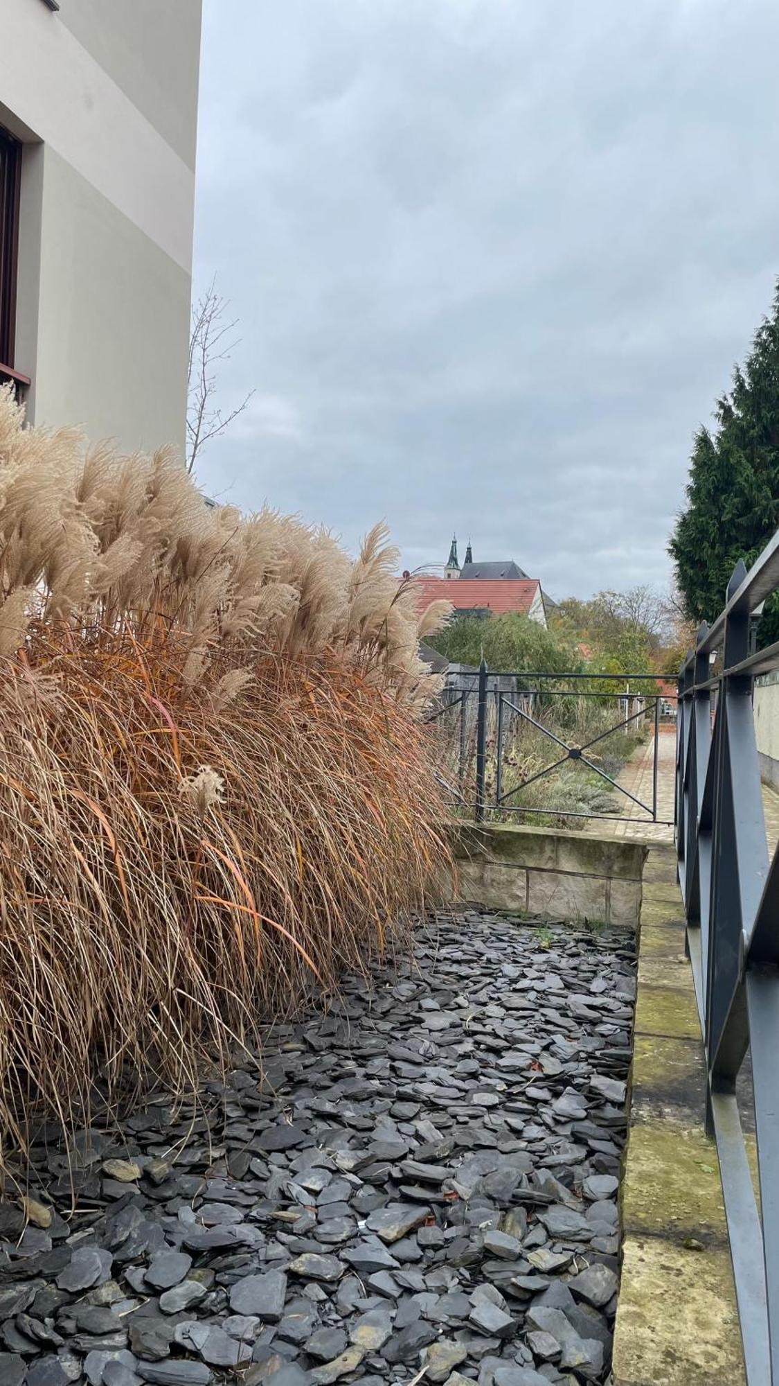 Appartement Neu! Oasis - Am Harz, Hochwertig Kernsaniert, 83 Qm, Eg Nordhausen